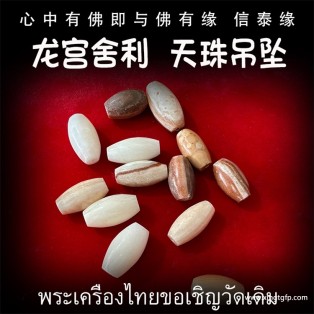 泰国佛牌 龙宫舍利 天珠吊坠 手链天然舍利 平安 健康 财运 避险挡灾