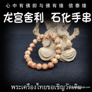 泰国佛牌 龙宫舍利 石化手串1 手链天然舍利 平安 健康 财运 避险挡灾