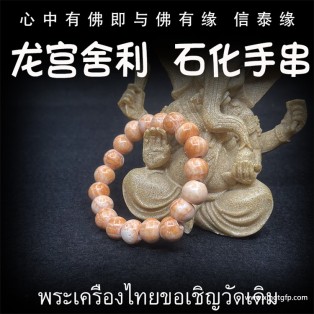 泰国佛牌 龙宫舍利 石化手串2 手链天然舍利 平安 健康 财运 避险挡灾