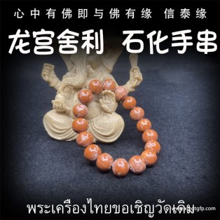 泰国佛牌 龙宫舍利 石化手串3 手链天然舍利 平安 健康 财运 避险挡灾