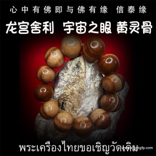 3龙宫舍利 黄灵骨舍利 黄财神 宇宙之眼  原矿舍利手串 泰国佛牌