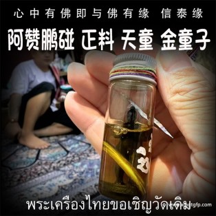 阿赞鹏碰 天童 金童子 佛童子 原庙壳 招财人缘 事业成愿 生意投资 泰国佛牌