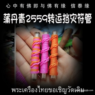 泰国佛牌 蒲丹青 转运挡灾符管 塔固 转运招财 人缘和合 避险挡灾 平安健康 避是非霉运