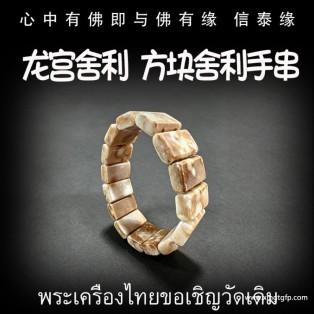 方块舍利手串 龙宫舍利 多宝舍利 手串 黑金刚 白灵骨 光明舍利 黑灵骨 财舍利 血舍利 跳出舍利