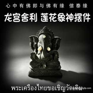 立尊黑象神 龙宫舍利  原石摆件 原矿金刚 黑金刚 白灵骨 光明舍利 黑灵骨 财舍利 血舍利 跳出舍利 泰国佛牌