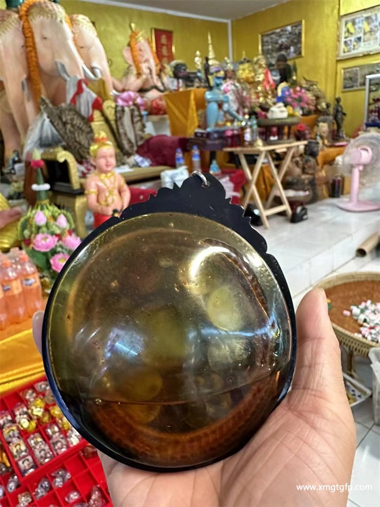 阿赞姜凯 蛇路过 大背面.jpg