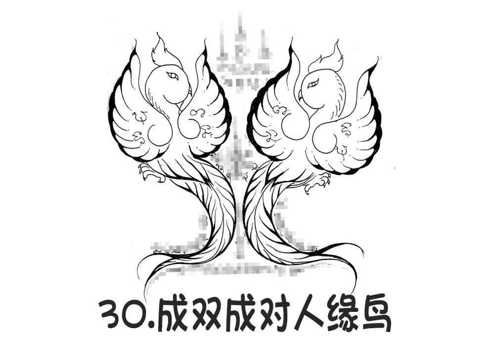 30.成双成对人缘鸟-调正.jpg