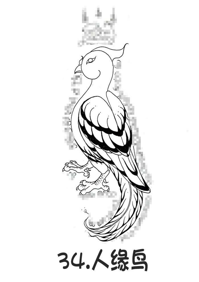 34.人缘鸟-调正.jpg