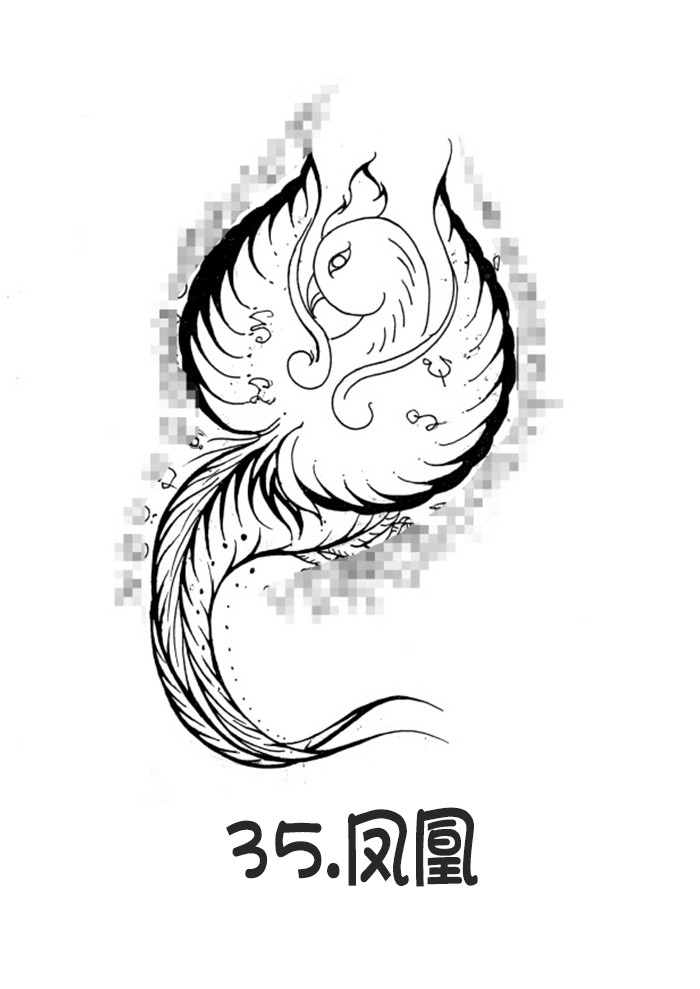 35.凤凰-调正.jpg