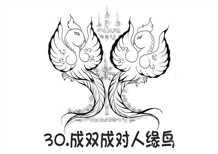 30.成双成对人缘鸟-调正.jpg