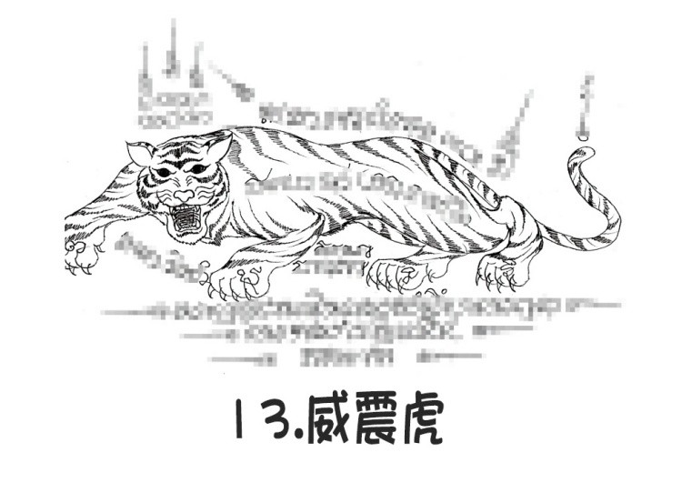 13.威震虎- 阿赞朕甩（阿赞詹啦、阿赞浸甩） 无头虎图案 泰国古法刺符17.jpg