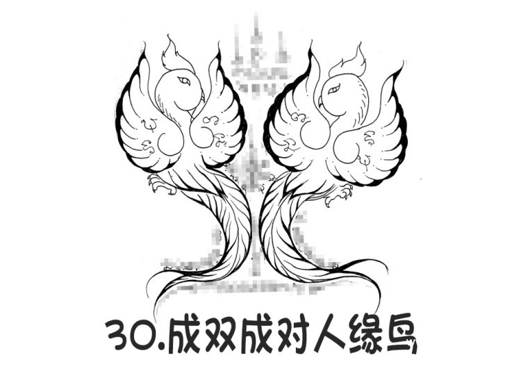 30.成双成对人缘鸟- 阿赞朕甩（阿赞詹啦、阿赞浸甩） 无头虎图案 泰国古法刺符35.jpg