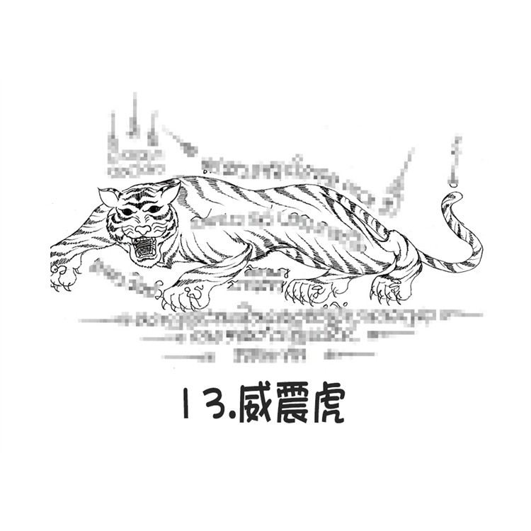 阿赞朕甩 无头虎 威震虎 泰国银针刺符 古法纹身  2025年10月1中国法会预约  阿赞通蜀无头虎传人